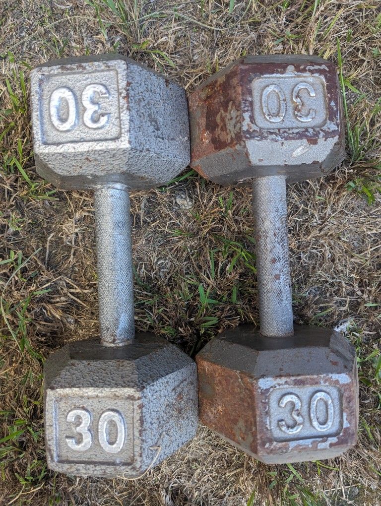 Pair Of 30lb Dumbbells