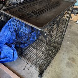 Animal Cage