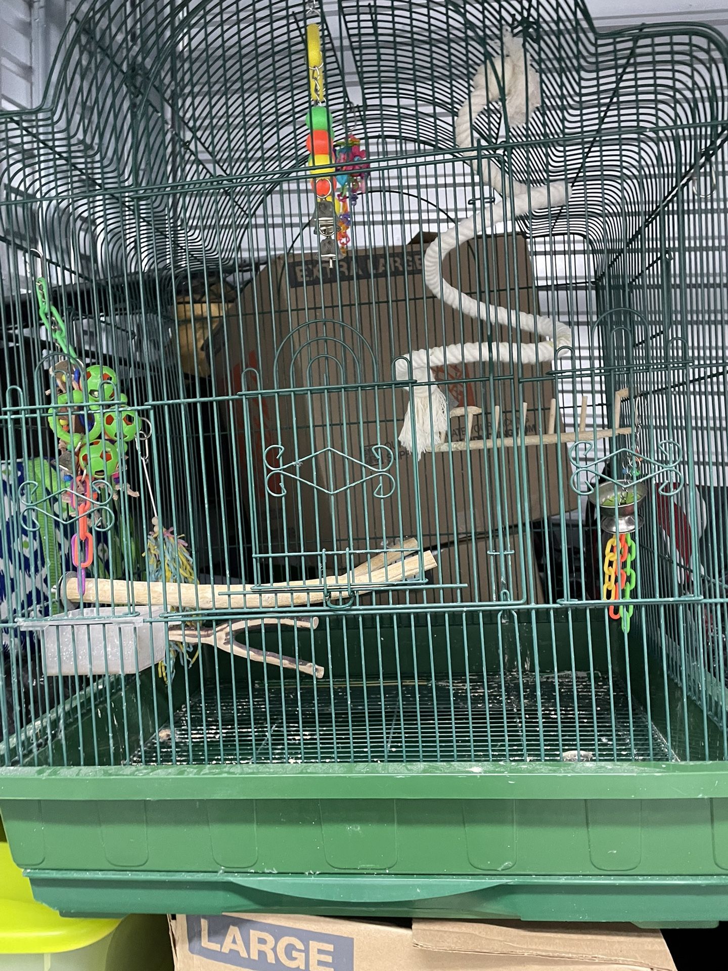 Bird Cage With Toys 