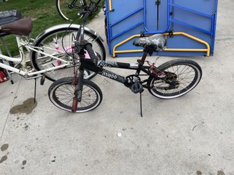 Kids, man, goose BMX