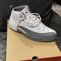 Air Jordan 12 Retro Size 14