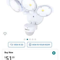 Motion Sensor Light 