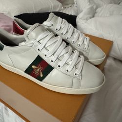 Gucci Ace 