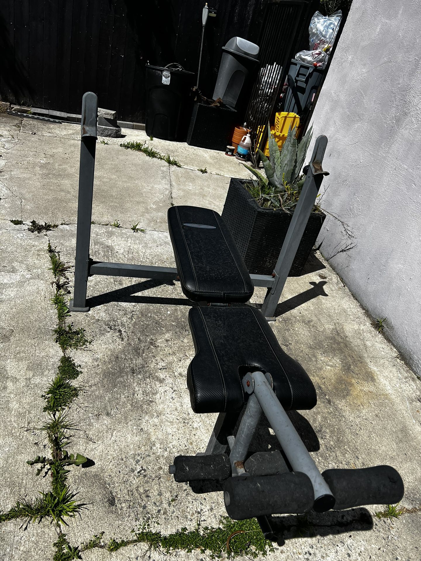 Bench Press/with Weights