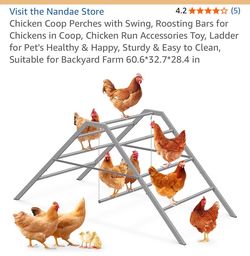 New chicken coop perches w swing