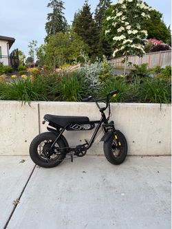 Escute V101 e-bike
