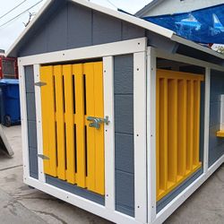 Dog House 