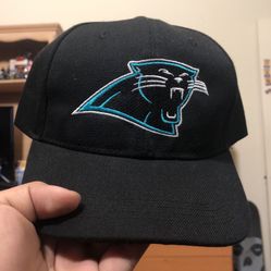 Panthers Hat