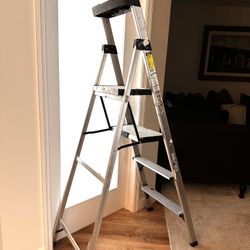Gorilla Ladder 