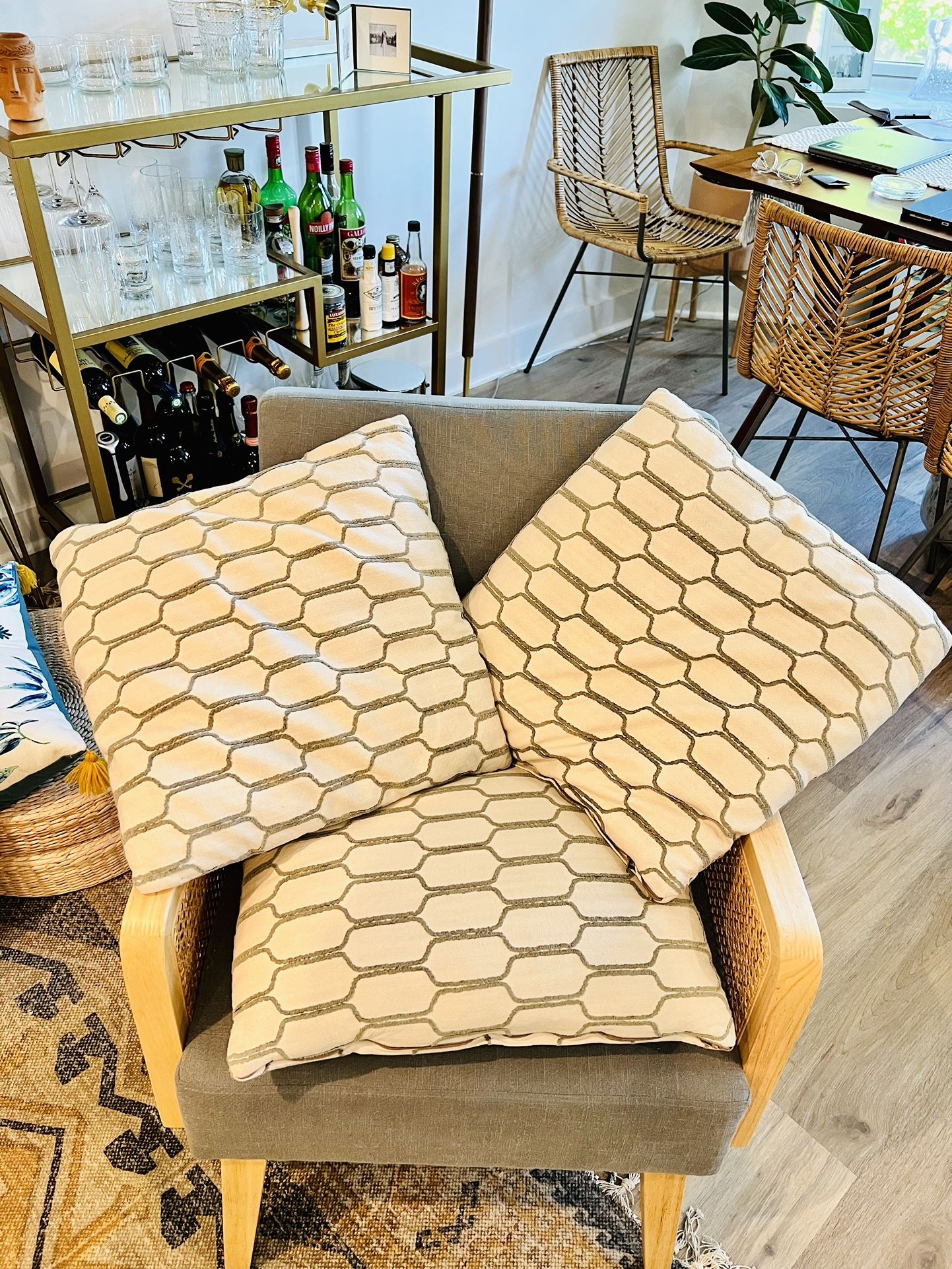 Three Decorative Pillows