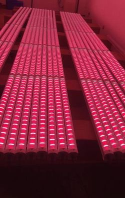 Skylight SKY RFR-150 under canopy lights LAST GENERATION Wholesale