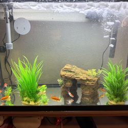 24gallon Fish Tank Come With Alll The Accessories 