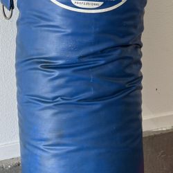 Punching Bag