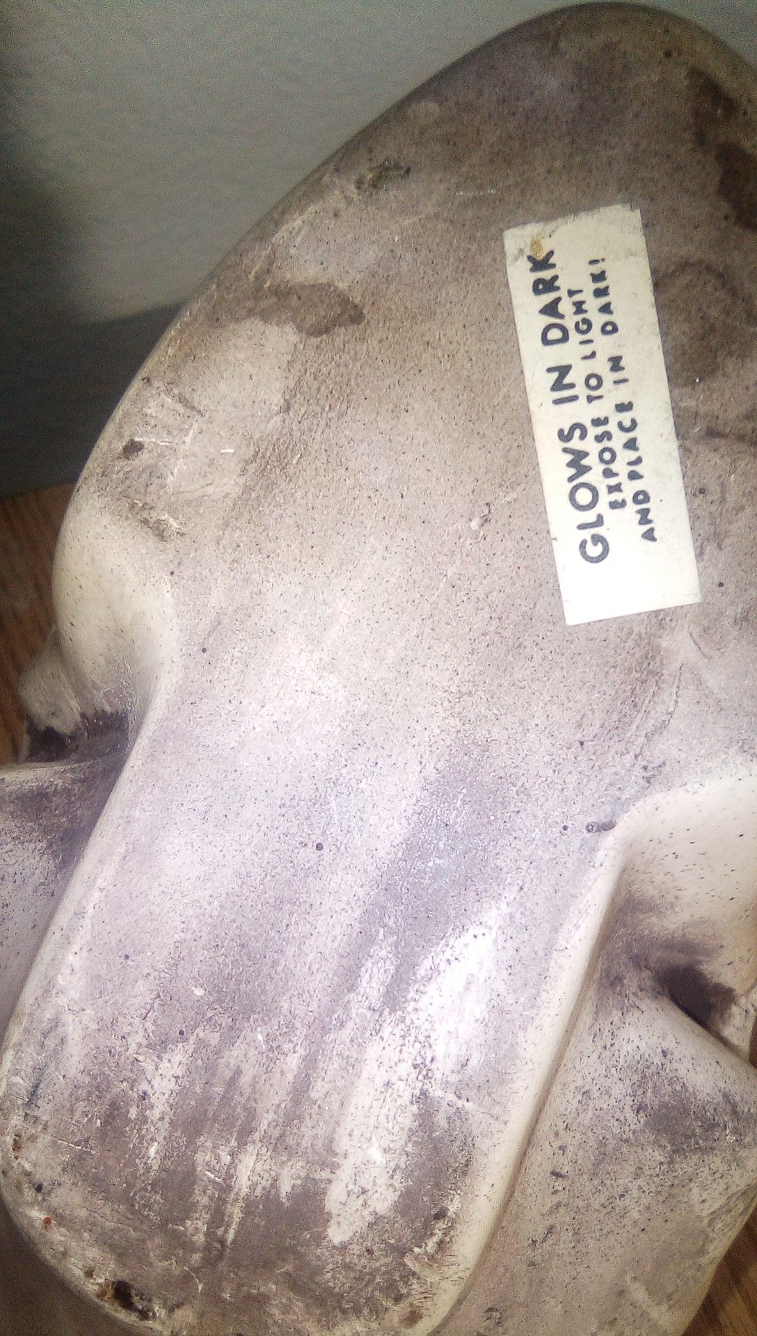 Skull