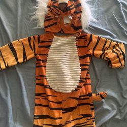 Tiger Costume