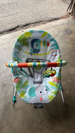 Bright Starts Baby Bouncer