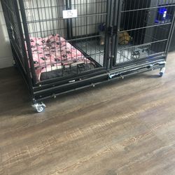 Dog Kennel
