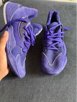Hardens Size 13
