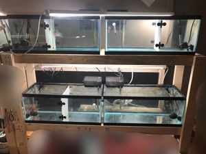 Photo Fish tank and stand
