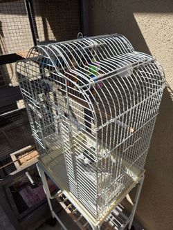 Bird Cage