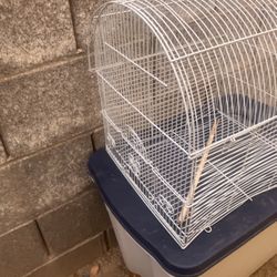 Bird Cage