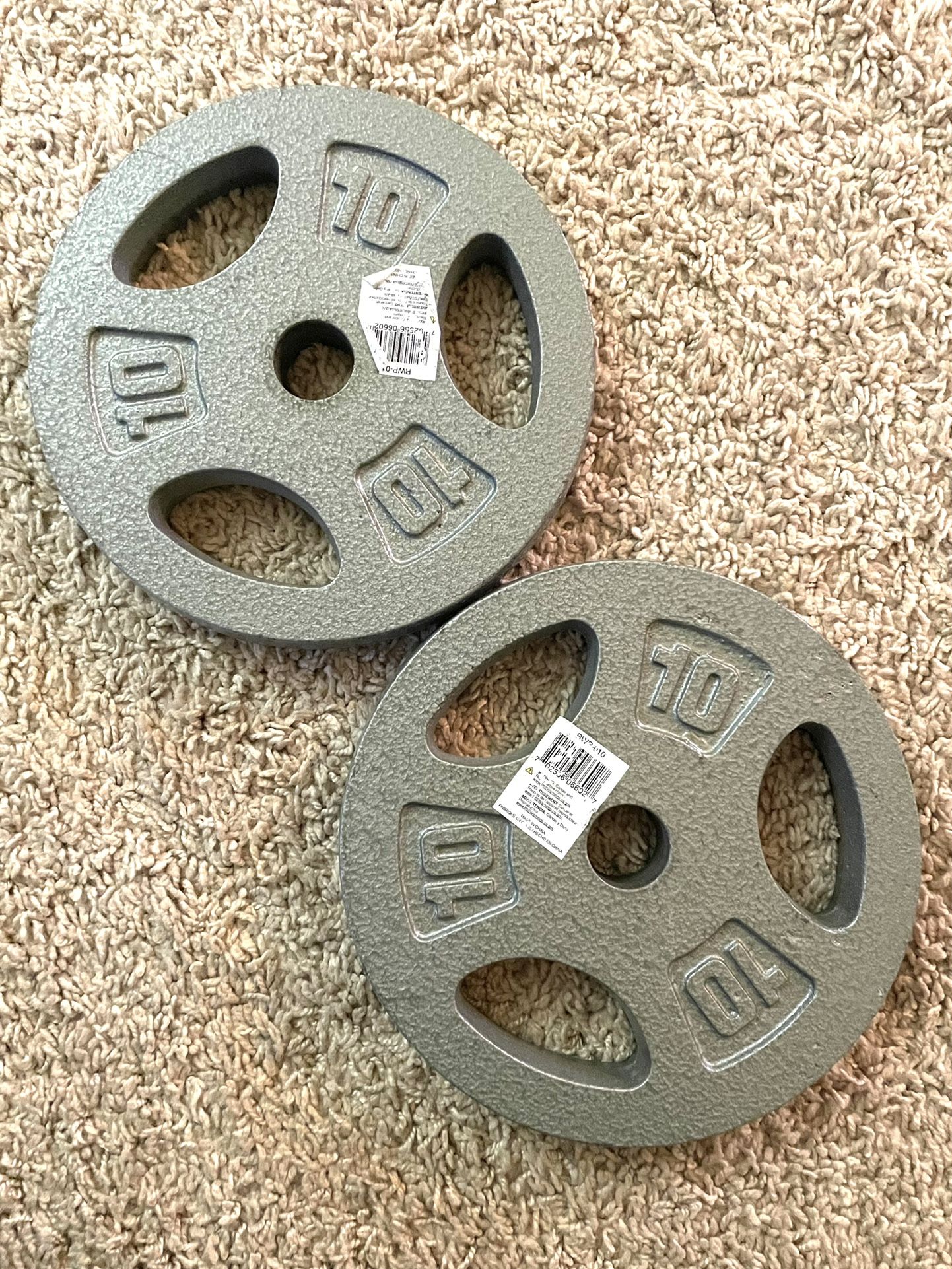 Two 10lb weight plates