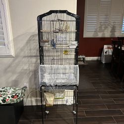 Parakeets & Bird Cage 