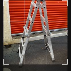 Ladder Werner