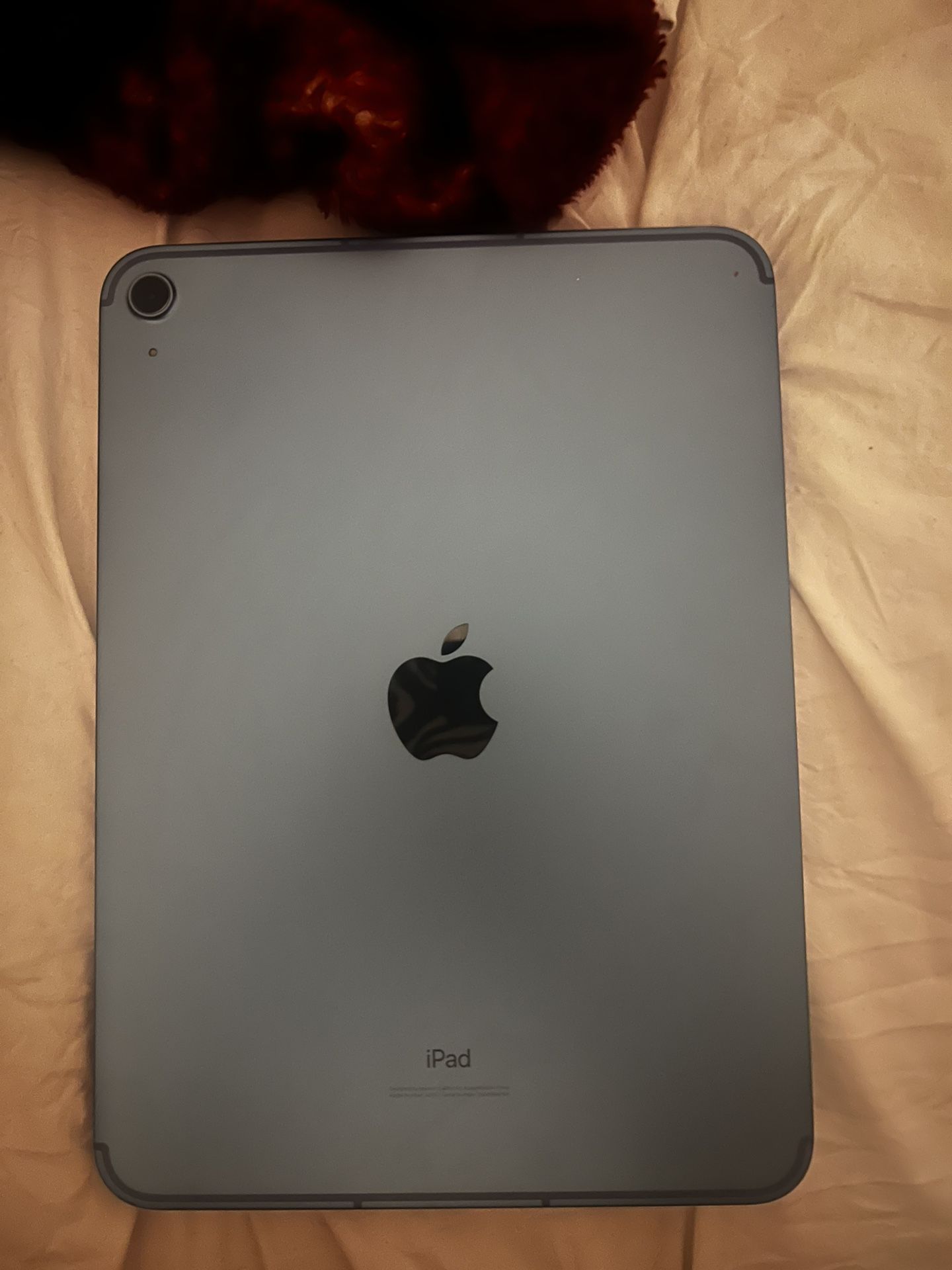 Apple iPad 10th gen blue