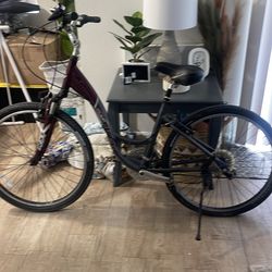 TREK Navigator 200 Women’s Bike