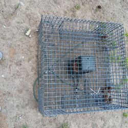 Prawn Pot  4 Entry Areas  28" - 12 "  $40.00  It's Yours .