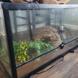Reptile tank light lamps and feeding bowls