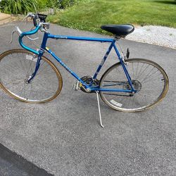 Girls Schwann 10 Speed Bike