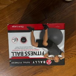 Fitness Ball