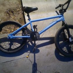 Pick Up Only Hoffman Freestyle Bike 20ich