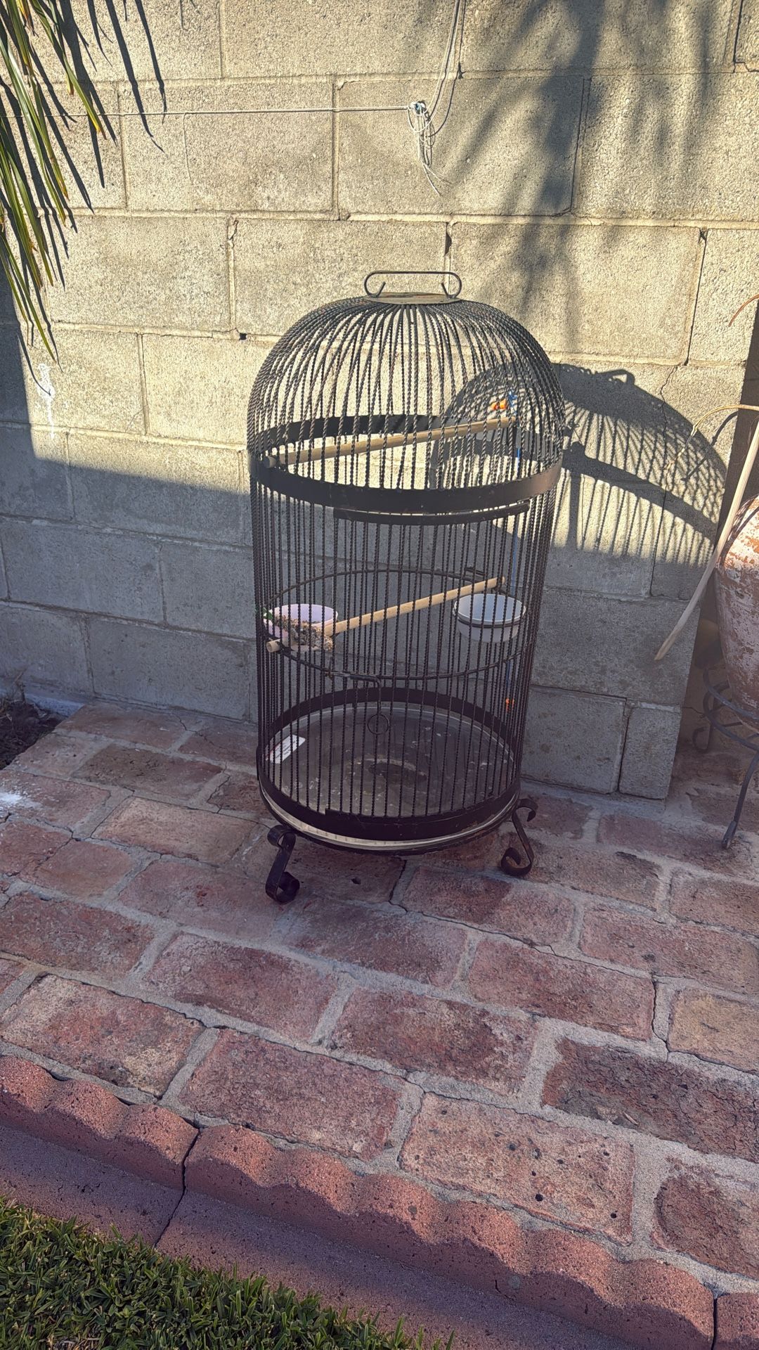 Bird Cage