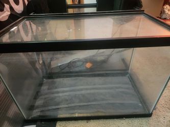 20 Gallon Fish Tanks