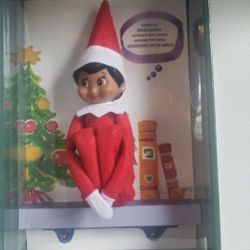 Elf On The Shelf 'BROWN EYED GIRL' Scout