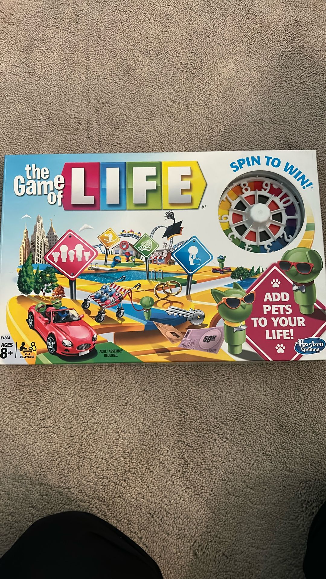 Board Game: LIFE