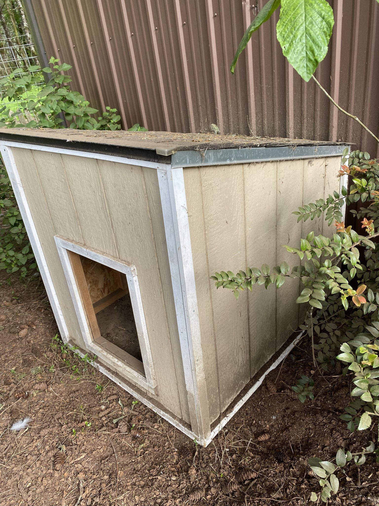 Well Built Dog House