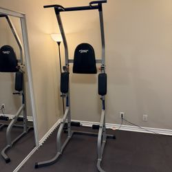Fitness Gear Dip / Pull Up Station