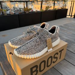 Yeezy 350 Turtledove Size 14.5