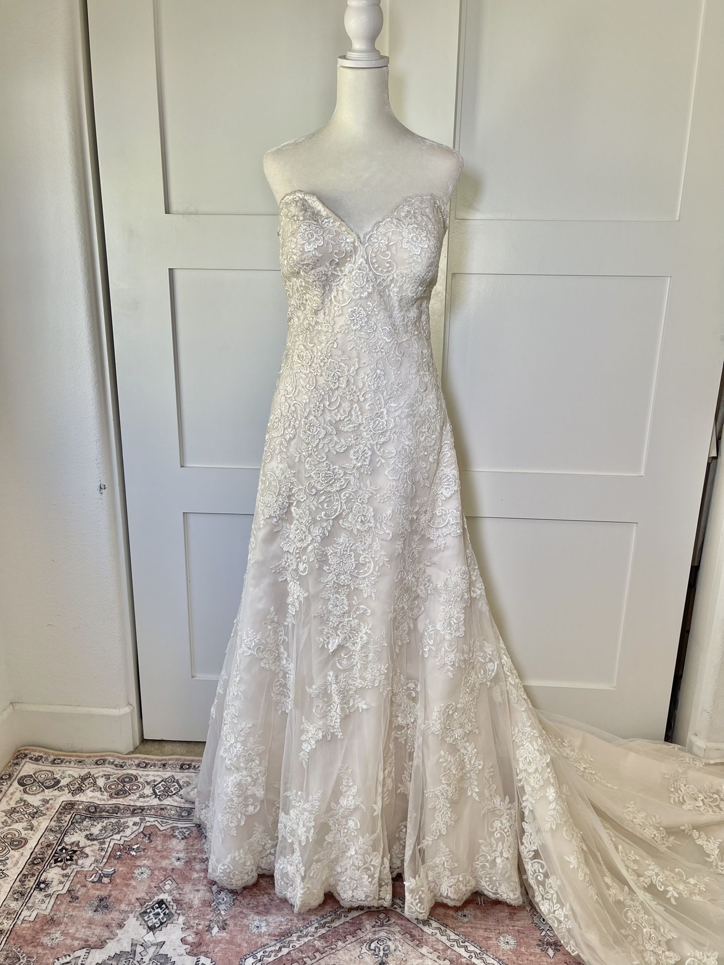 Wedding Dress, Jacket, Scarf, and Train Veil