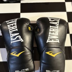 Everlast Boxing Gloves 