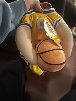 New Dog Lakers Costume