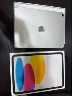 Apple iPad 10th Gen 256GB (iCloud unlocked)