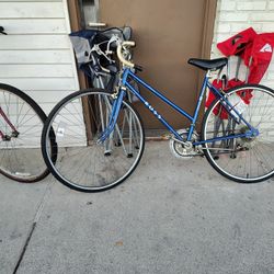 Adult Bikes 