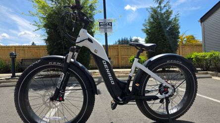 E-bike Denago Fat Tire Step-thru electric bike for sale
