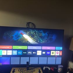 65 inch LG Tv With Remote 