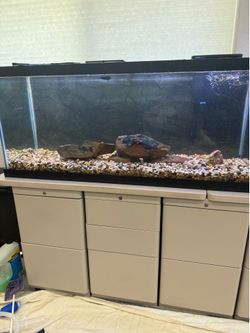 Aqueon 75 gallon fish tank
